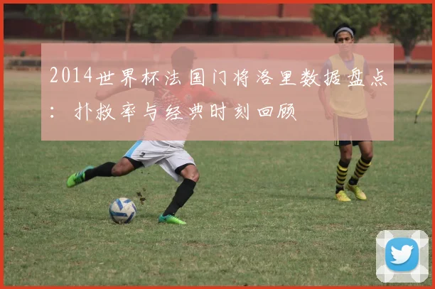 2014世界杯法国门将洛里数据盘点：扑救率与经典时刻回顾