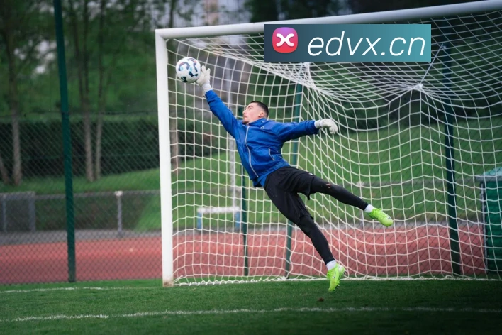 leyu乐鱼官方官网平台生态图